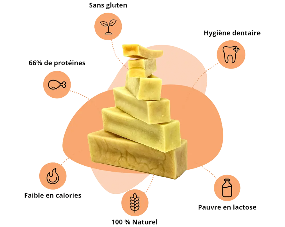 Fromage de Yak en friandise de mastication pour chien Yummy BARF