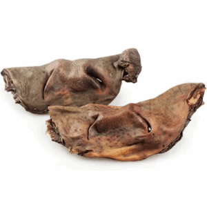 Museau de bœuf en friandise pour chien Yummy BARF