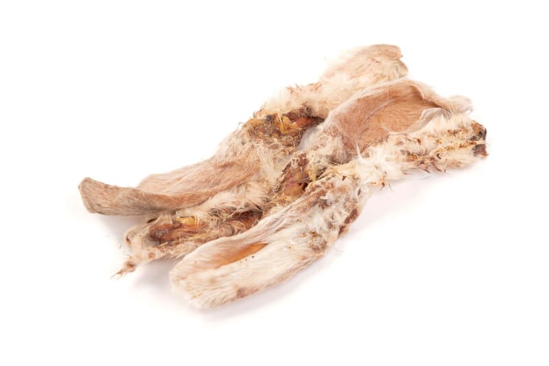Oreilles de lapin avec poils en friandise pour chien Yummy BARF