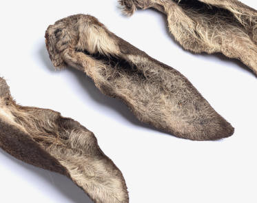 Oreilles de cerf en friandise pour chien Yummy BARF