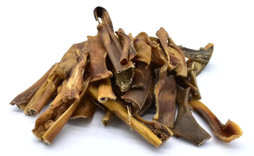 Friandises de peaux de chameau Yummy BARF pour chien