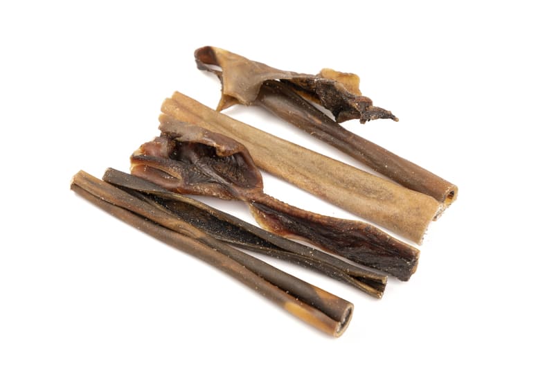 Friandises de peaux de chameau Yummy BARF pour chien