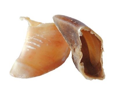 Friandises deux sabots de veau Yummy BARF pour chien