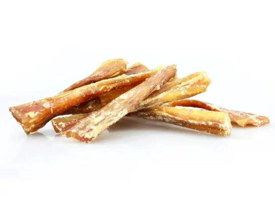 Friandises de Tendon de bœuf Yummy BARF pour chien